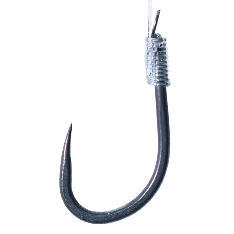 Acolyte 6"Plate MarginCarp 12