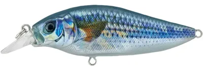 SHALLOW SHAD 80MM SSH 80F