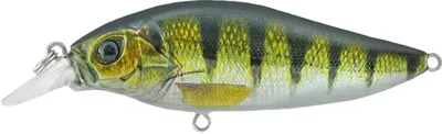 SHALLOW SHAD 80MM SSH 80F