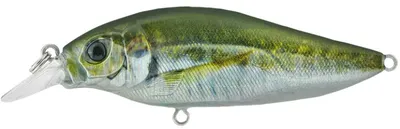 SHALLOW SHAD 80MM SSH 80F