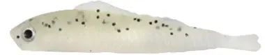 LUCKY SHAD 6cm COLOUR 02 BOLSA 10 PCS