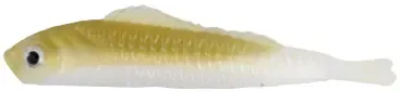 LUCKY SHAD 6cm COLOUR 24 BOLSA 10 PCS