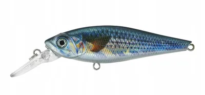 RATTLING MINNOW 80MM F RMI80F